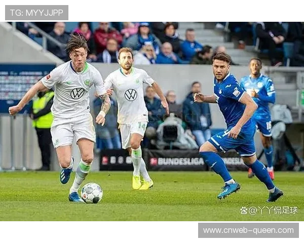 霍芬海姆深陷降级区,主帅罗泽坦言防守问题必须解决 霍芬海姆深陷降级区,主帅罗泽坦言防守问题必须解决